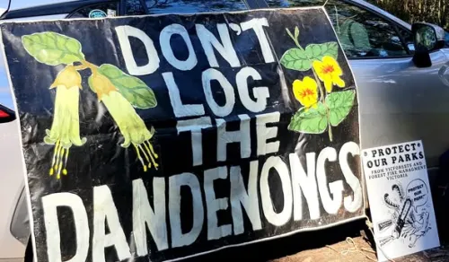 No more logging
